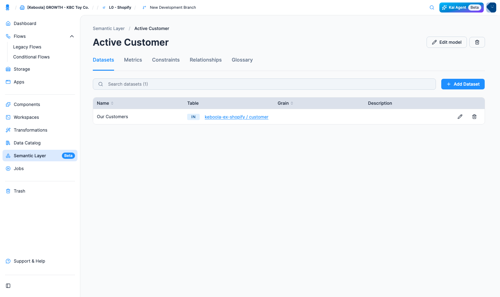 A semantic model opened in the UI, with one tab per semantic object type